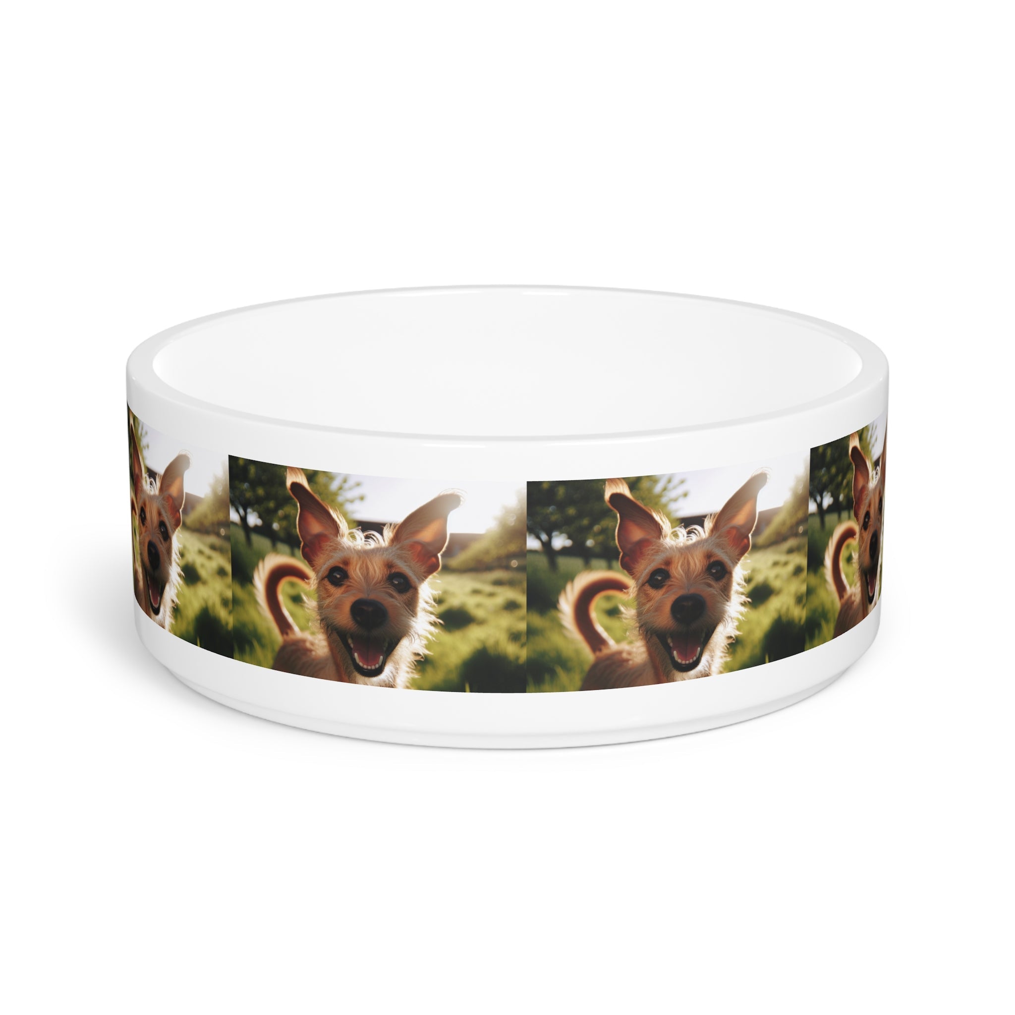 Ceramic Pet Bowl – 16 oz Dog Feeding Bowl