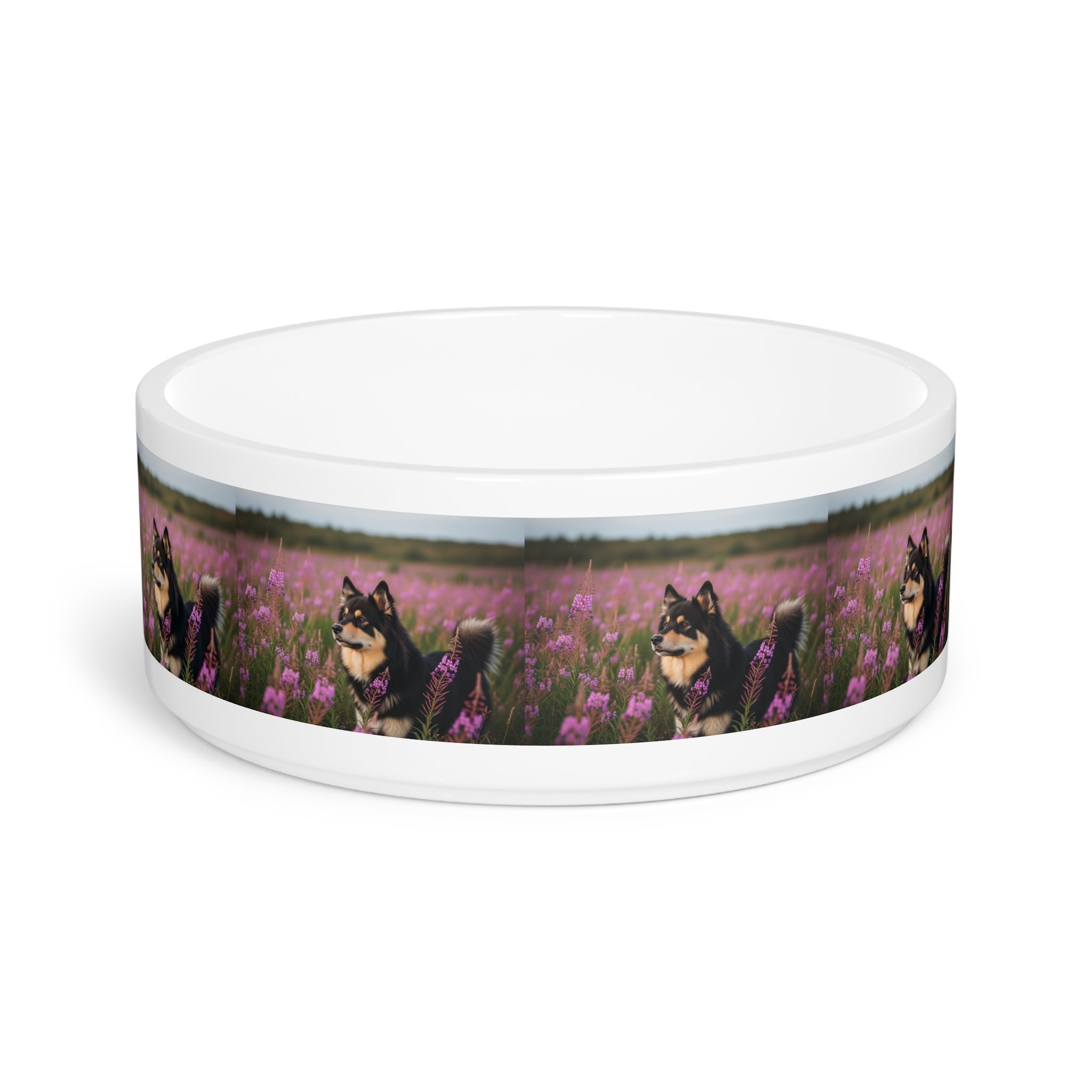Ceramic Pet Bowl – 16 oz Dog Feeding Bowl