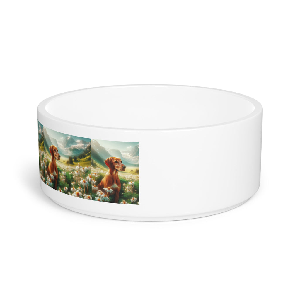 Ceramic Pet Bowl – 16 oz Dog Feeding Bowl