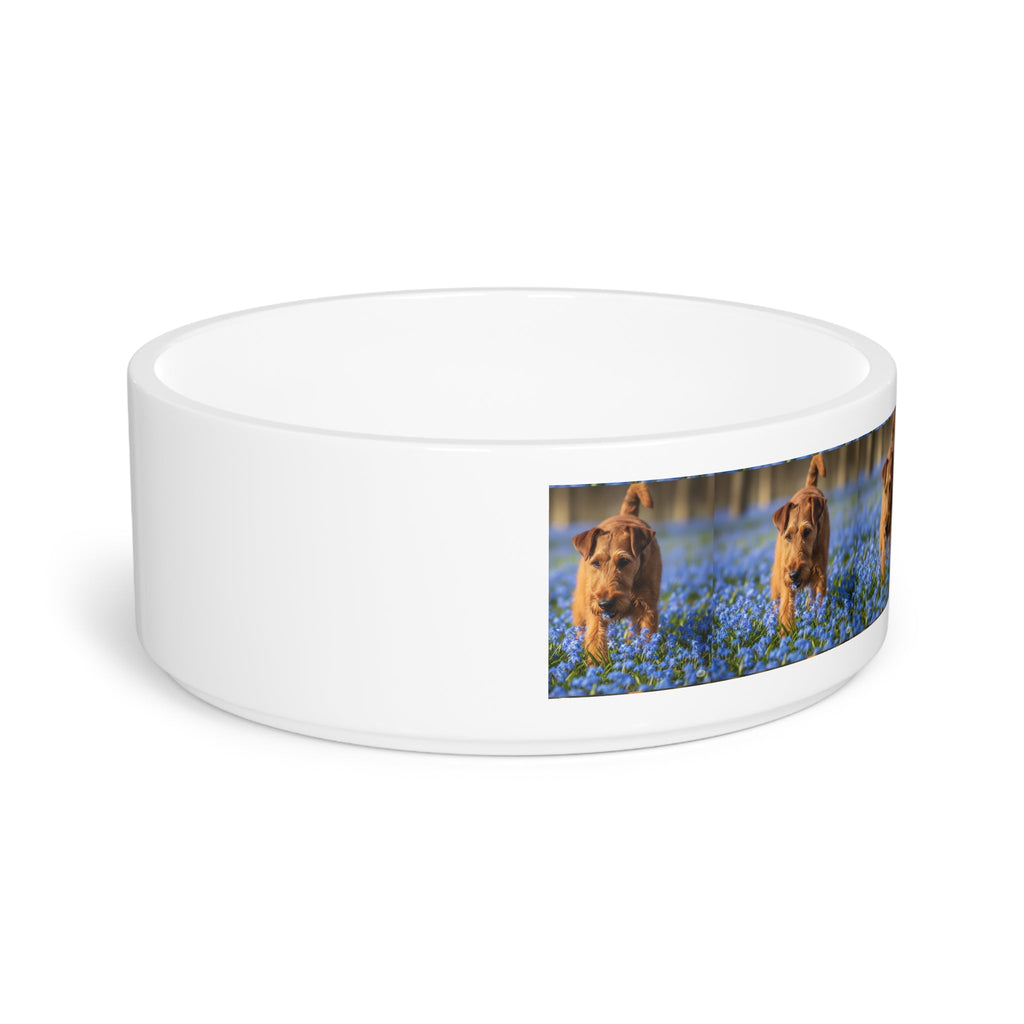 Ceramic Pet Bowl – 16 oz Dog Feeding Bowl