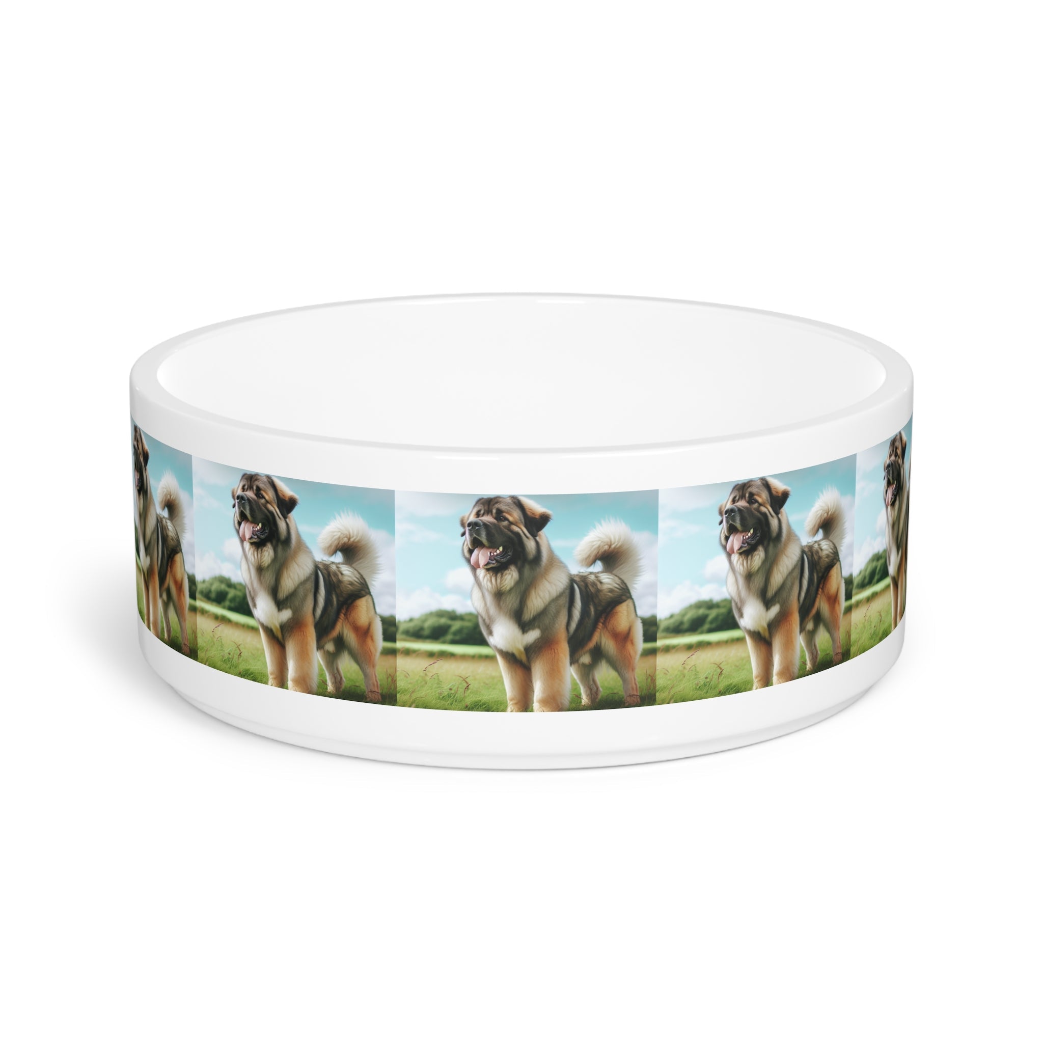 Ceramic Pet Bowl – 16 oz Dog Feeding Bowl