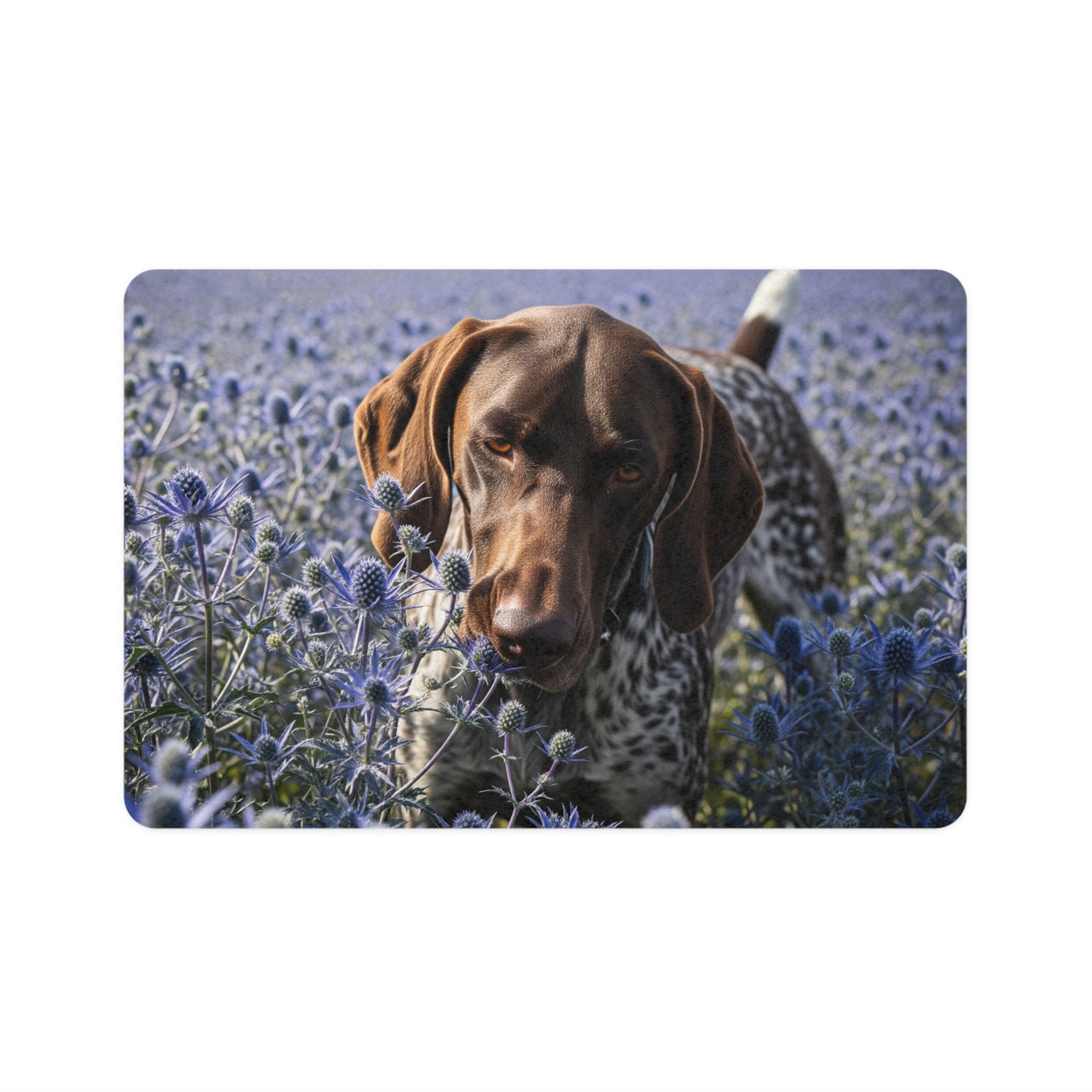 Non-Slip Pet Food Mat – Waterproof Feeding Mat for Dogs