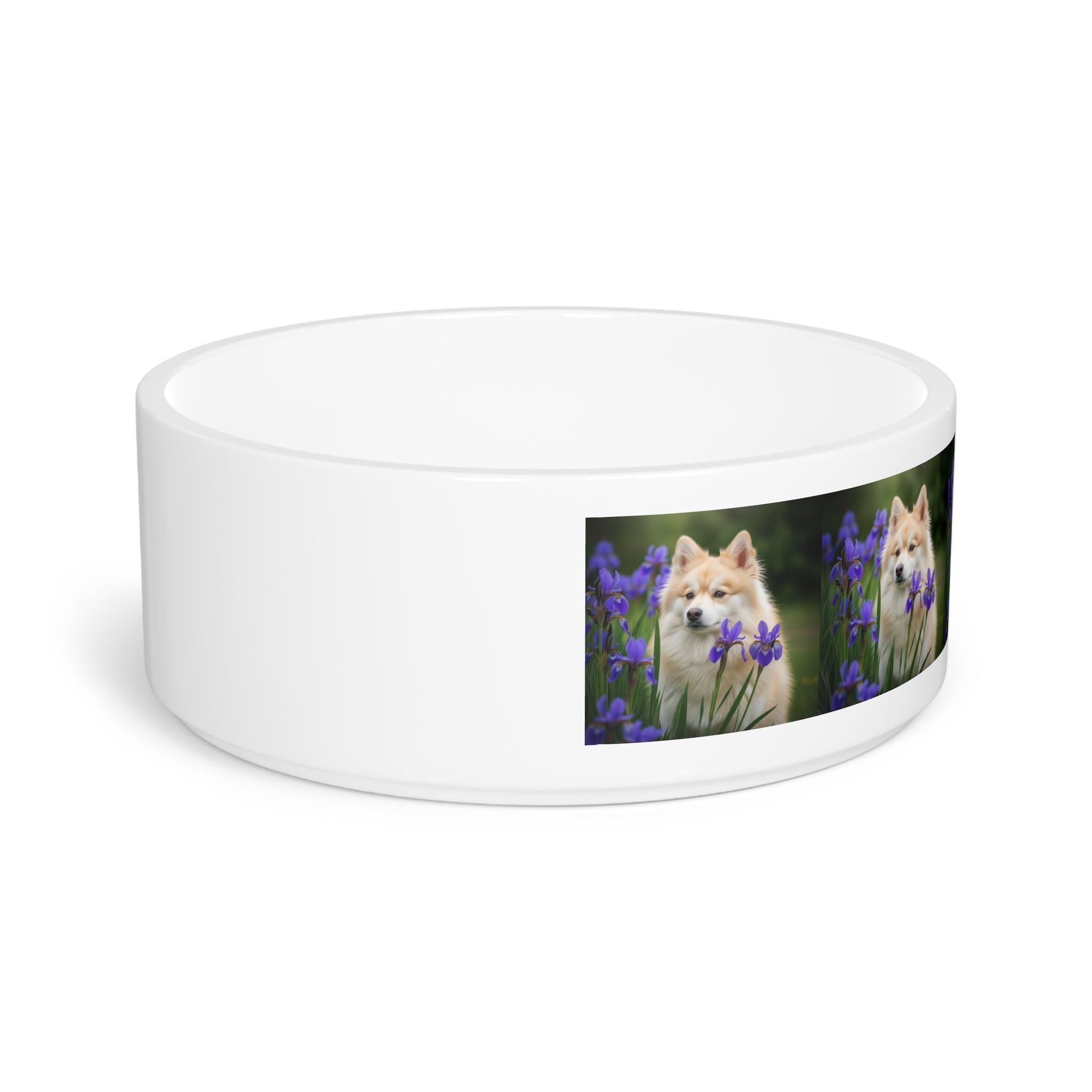 Ceramic Pet Bowl – 16 oz Dog Feeding Bowl