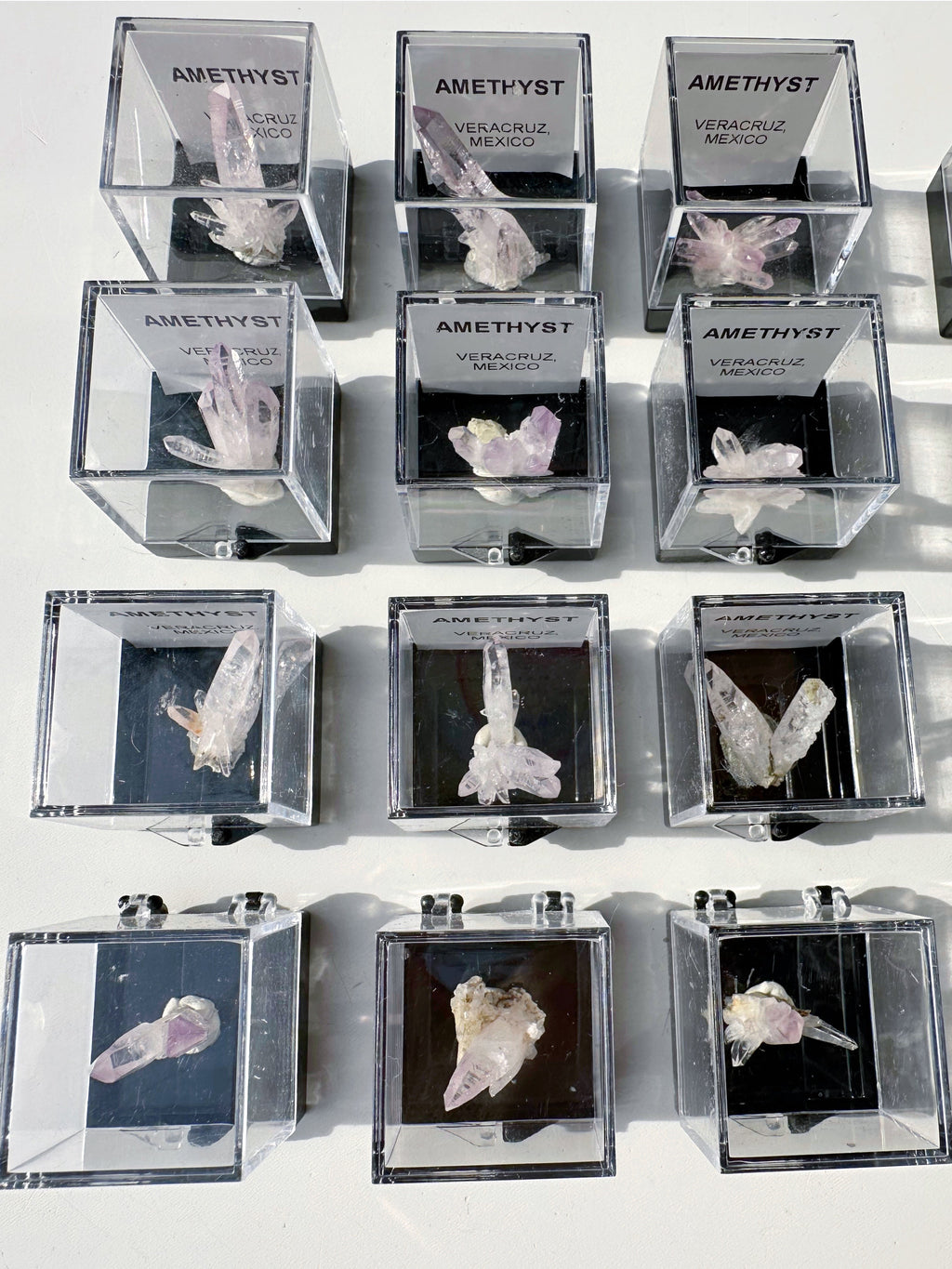 Veracruz Amethyst Thumbnails in Perky Box
