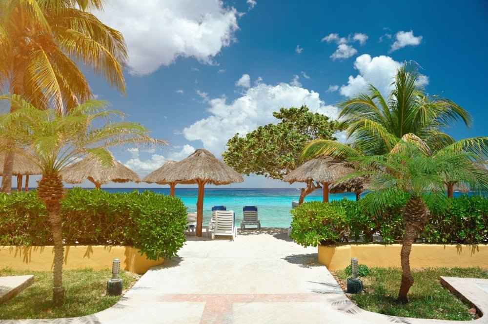 Belize Tropical Cabana (BBW type) - Premium Fragrance Oil