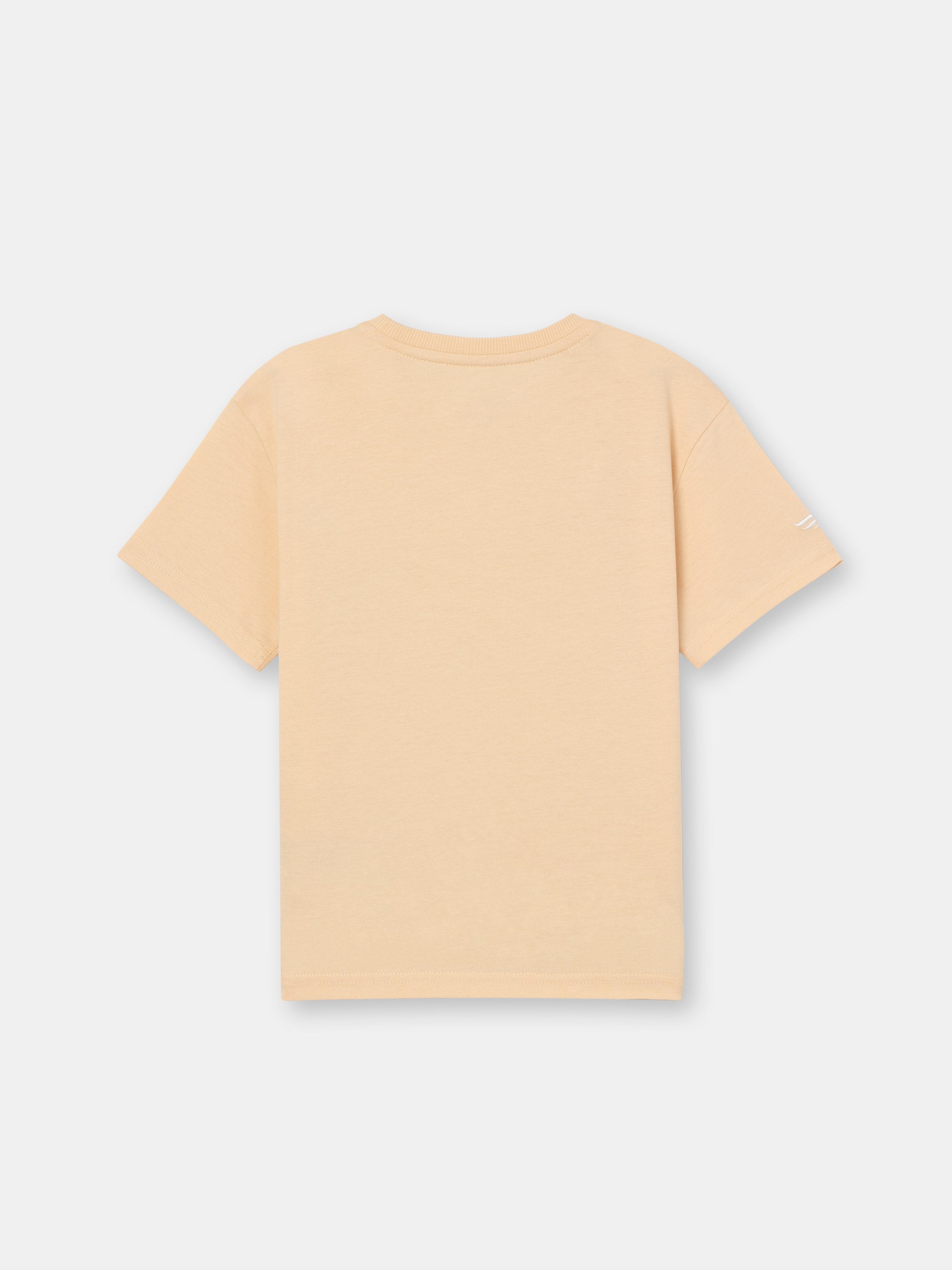 Short Sleeve T-Shirt with (Sky) Phrase - Brown