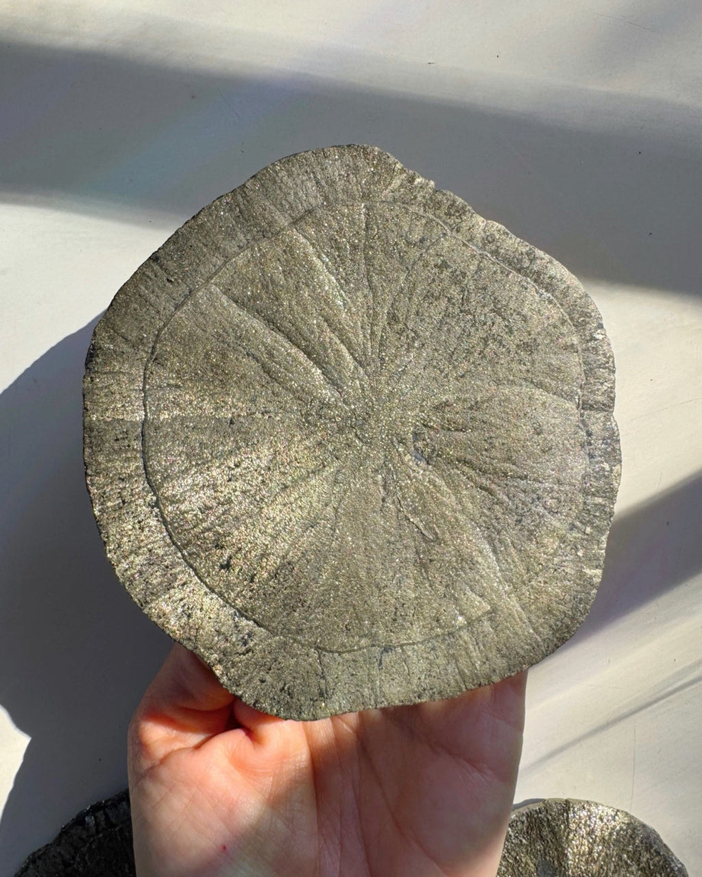 Pyrite Sun
