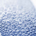 Fizz - Premium Fragrance Oil