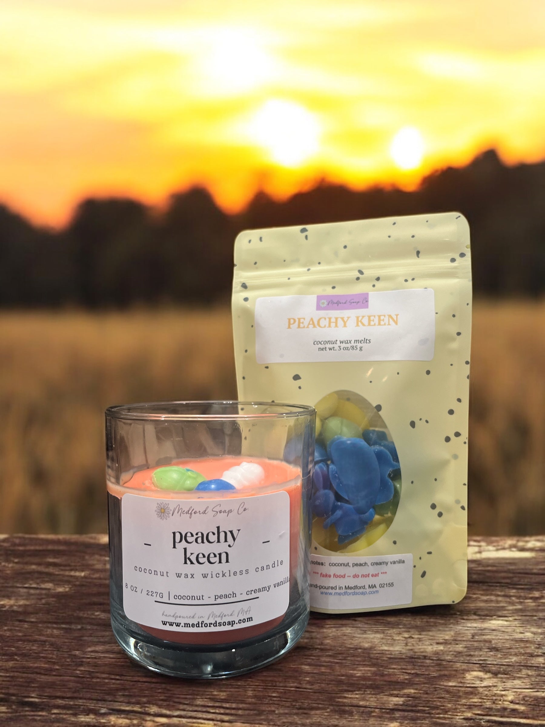 Wickless Candles & Wax Melt Cups