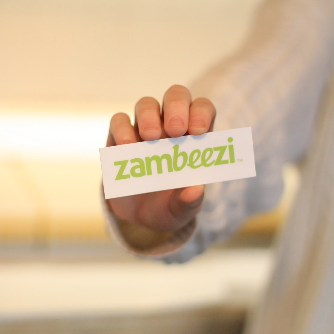 Zambeezi Logo Sticker