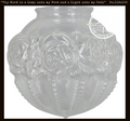 Embossed Antique Clear Glass Globe Replacement
