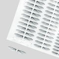 Mayfly Wings