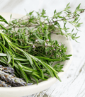 Minted Rosemary (Discontinued - Last Chance)