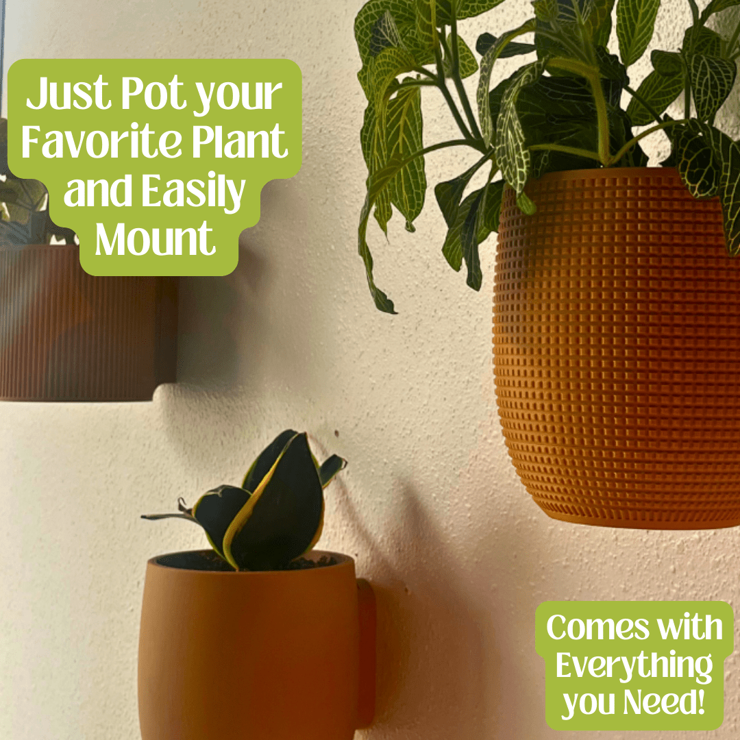 Quilted Design Wall Planter with Hidden Drip Tray | Wall Planter with Mounting Kit | Premium Collection Quilted Design