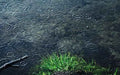 Rain - Premium Fragrance Oil