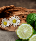 Rosewood & Bergamot - Premium Fragrance Oil