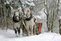 Sleigh Ride - Christmas and Holiday Premium Candle Fragrance