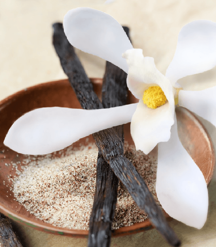 Vanilla Blossom - Premium Fragrance Oil