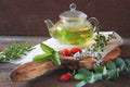 Wild Mint & Eucalyptus - Premium Fragrance Oil