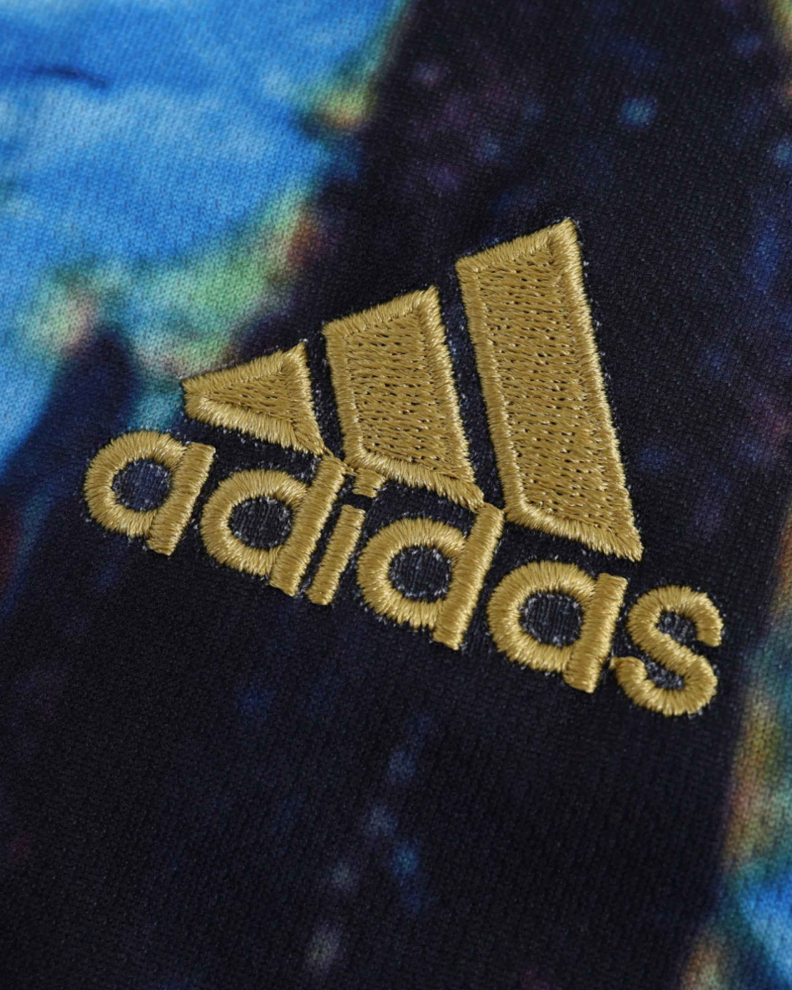 AJAX x VAN GOGH PREMIUM KIT