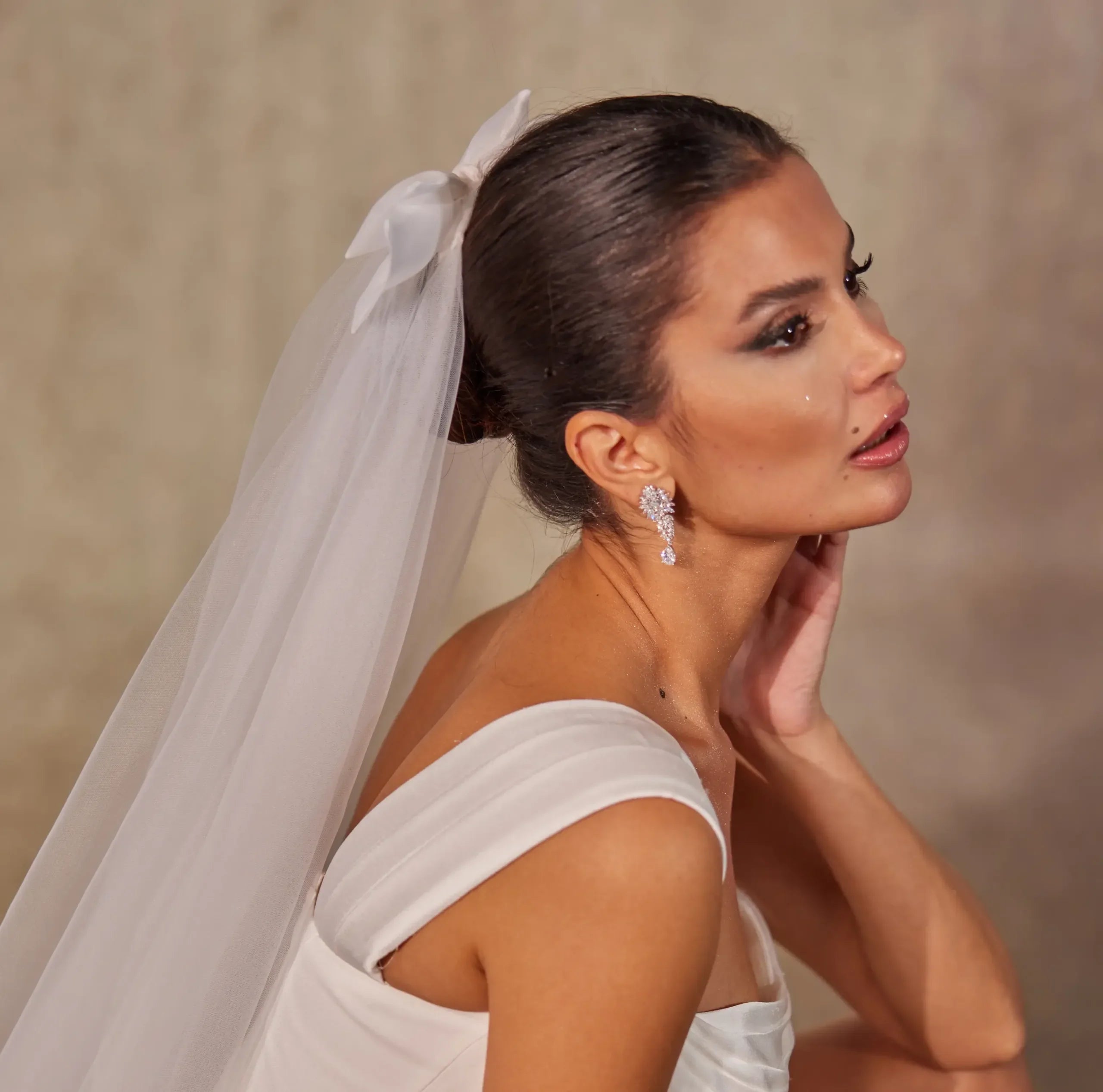 Elegant Bow Wedding Veil