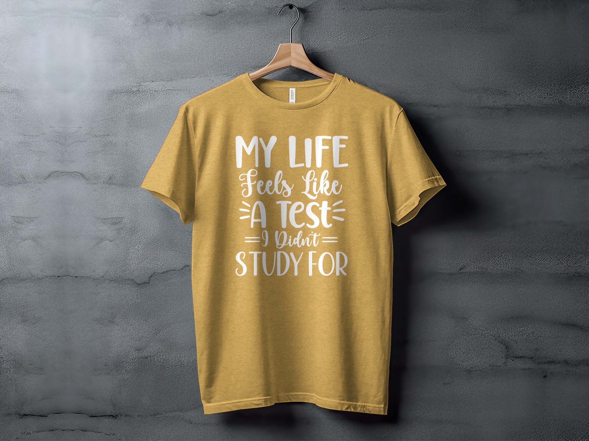 My Life Feels Like A Test I Didn't Study For T-Shirt