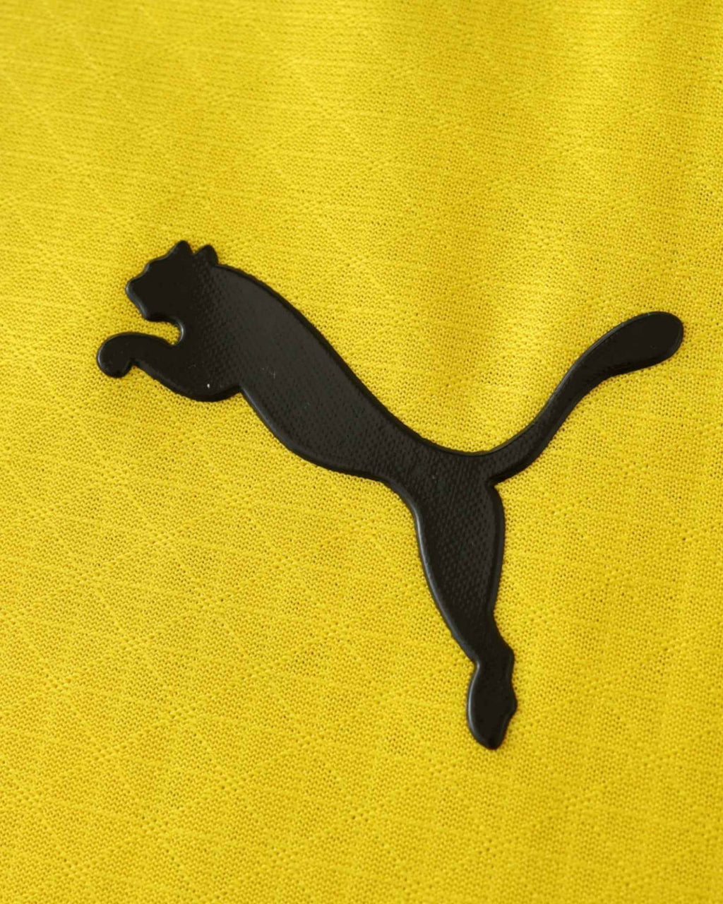 DORTMUND CHAMPIONS LEAGUE HOME 2024/25
