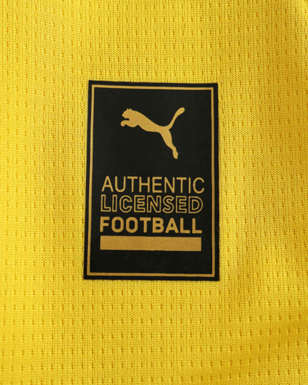 DORTMUND HOME 2024/25