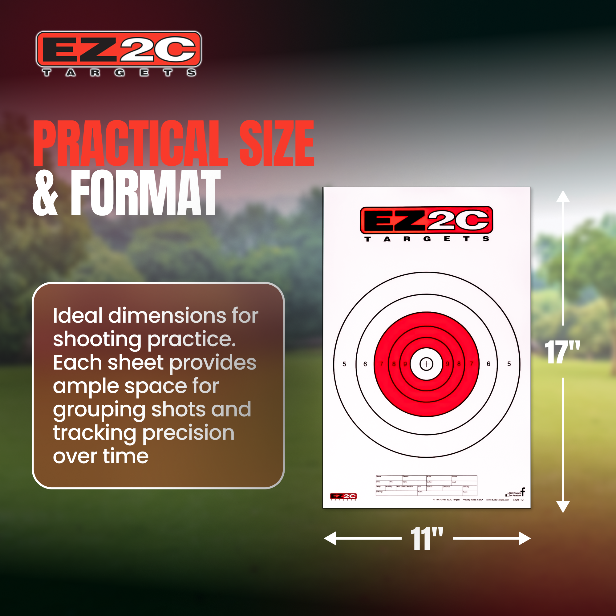 EZ2C Targets #12: Paper Shooting Targets for B16 11"x17" USA MADE