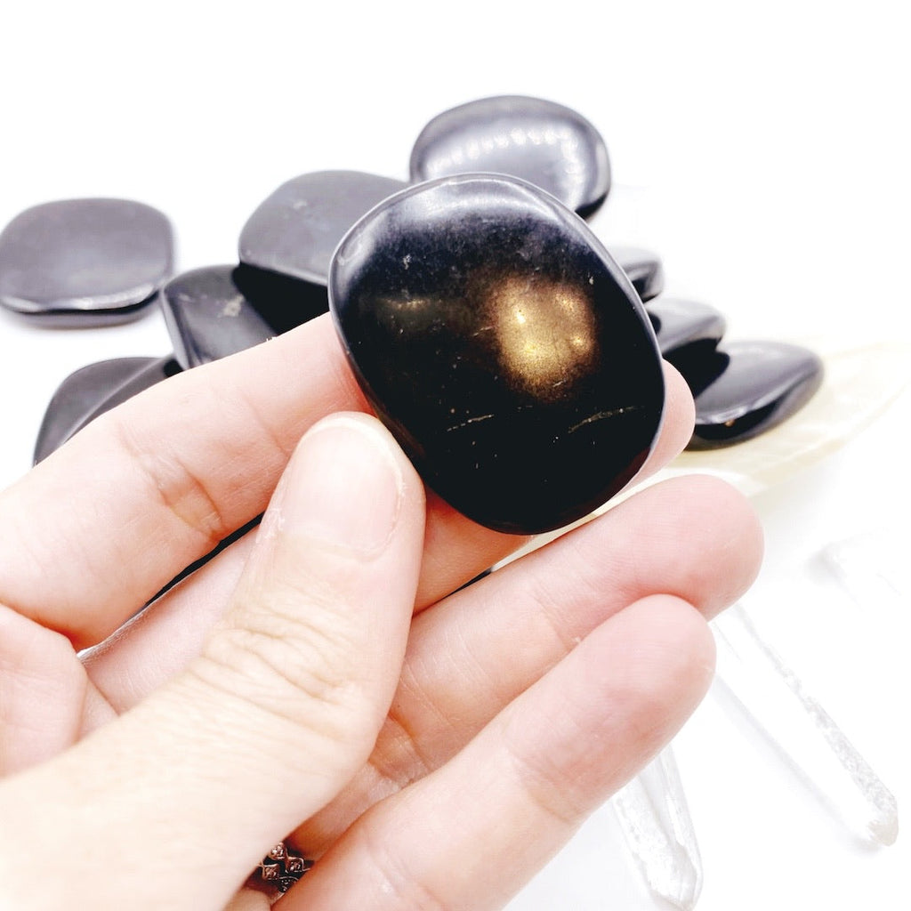 Shungite Flat Pocket/Tumbled Stones
