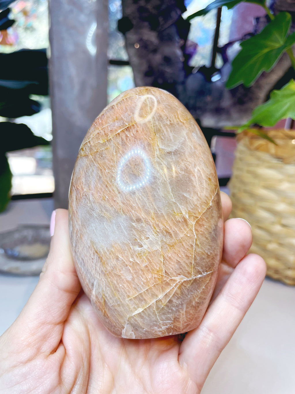 Peach Moonstone Freeform